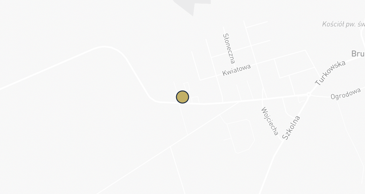 Mapa dojazdu: VET-LECZNICA Brudzew - lecznica dla małych zwierząt