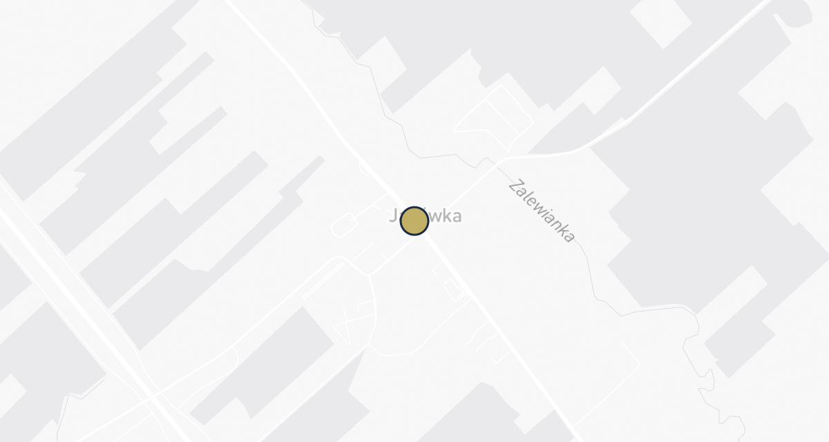 Mapa dojazdu: Usługi weterynaryjne