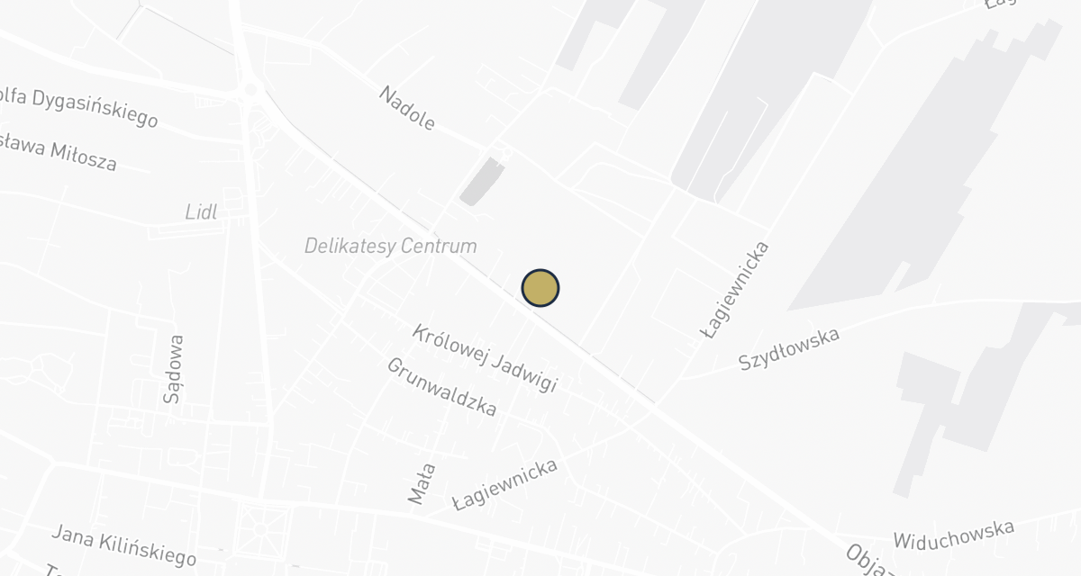 Mapa dojazdu: Lecznica weterynaryjna s.c.