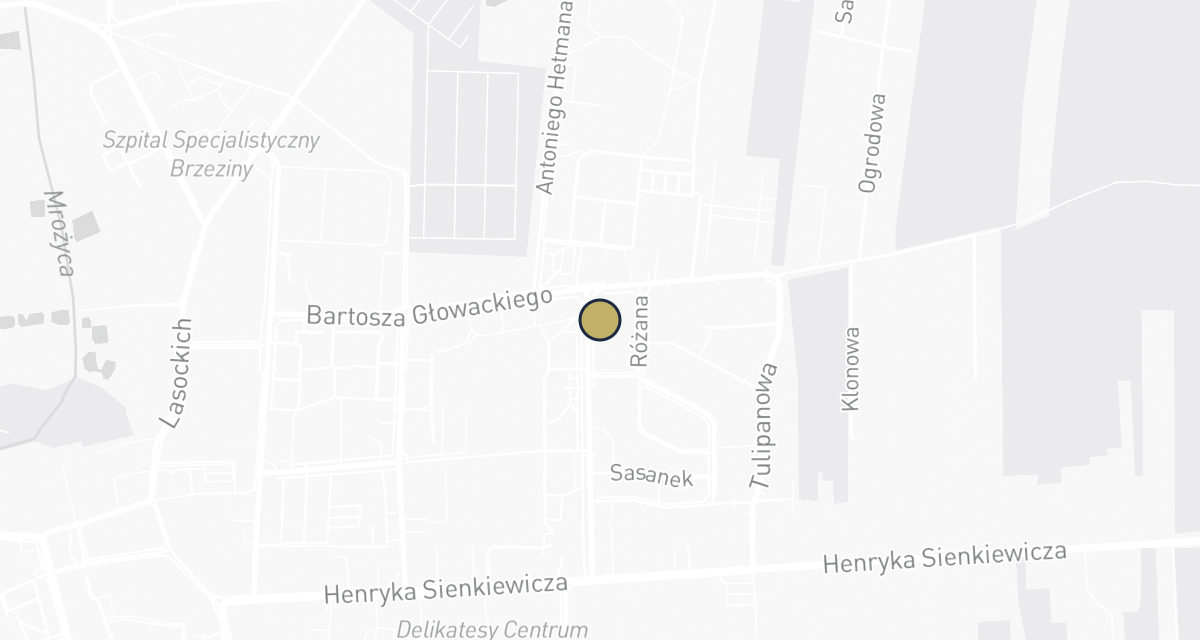 Mapa dojazdu: Gabinet Weterynaryjny "GAJA"