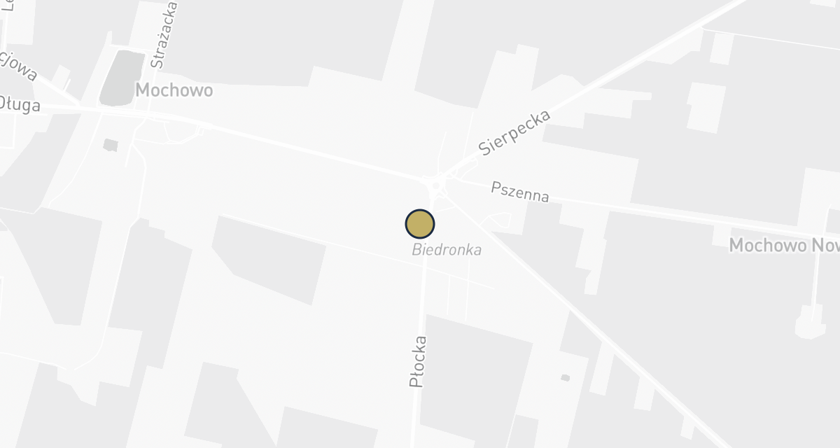 Mapa dojazdu: VET-LAB BRUDZEW