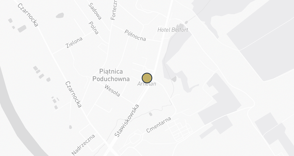 Mapa dojazdu: Rutkowski Marek. Usługi lekarsko - weterynaryjne