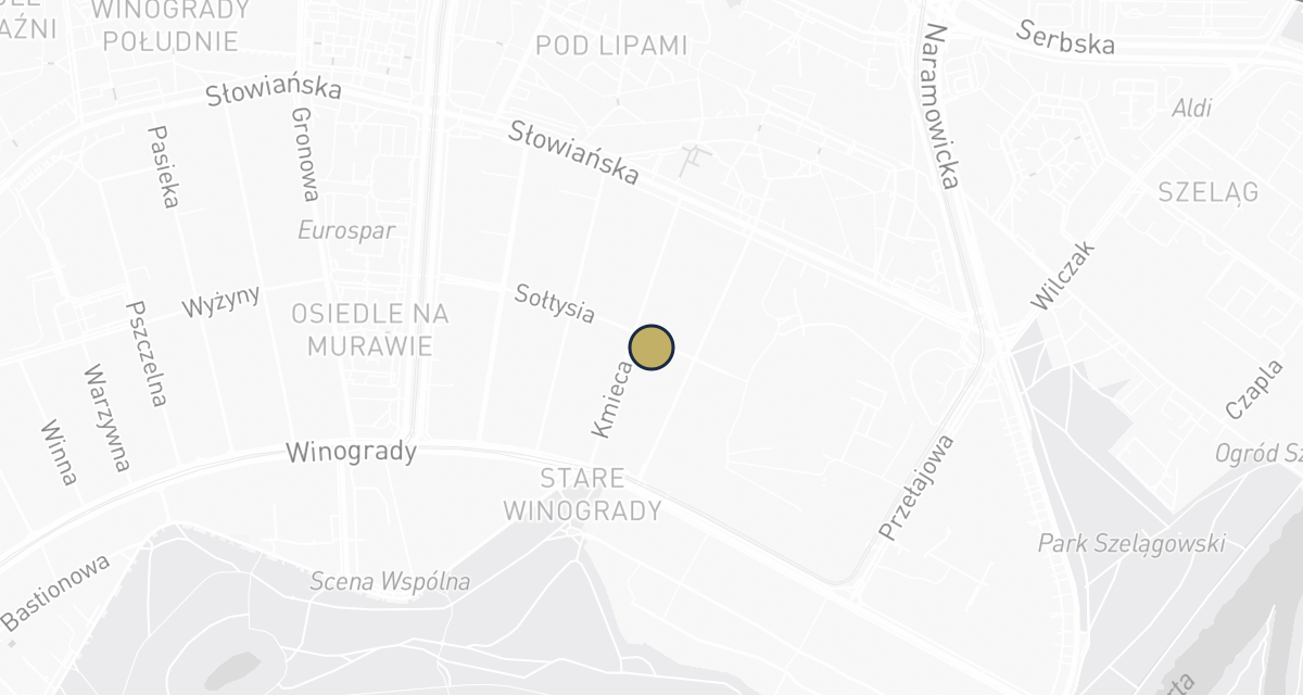 Mapa dojazdu: Lecznica Weterynaryjna