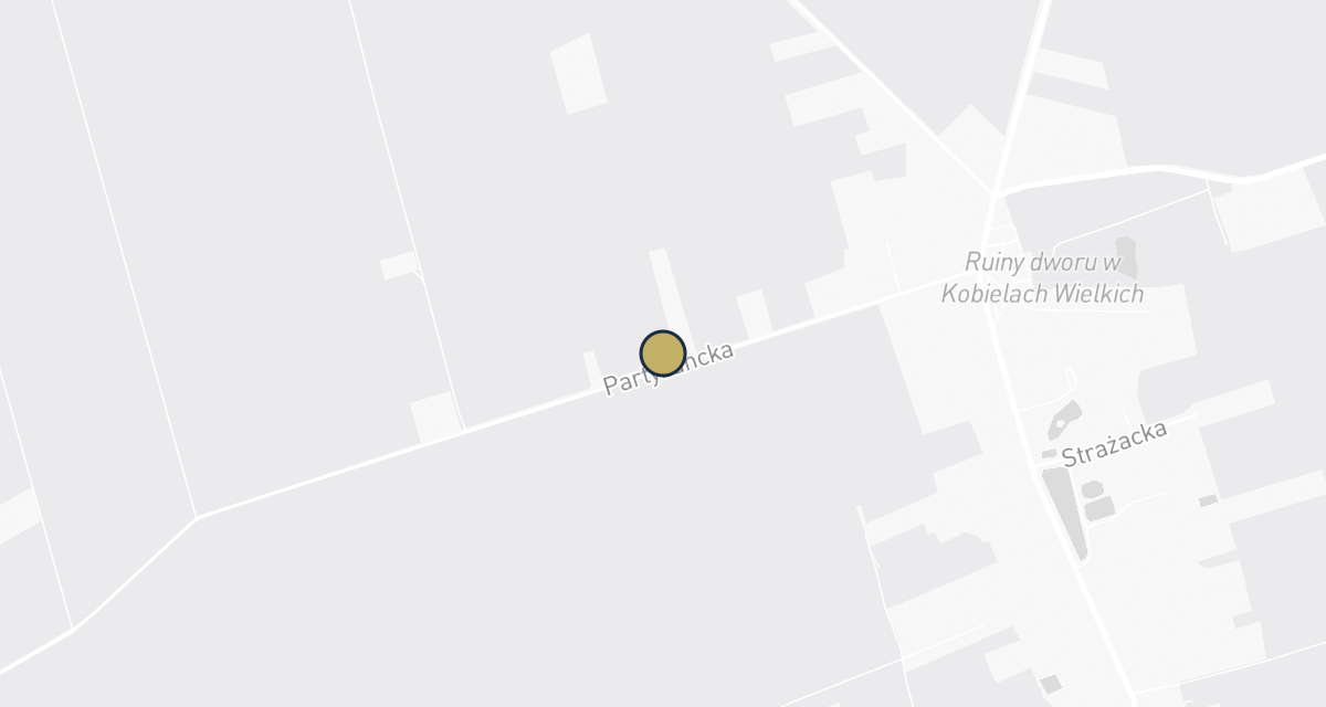 Mapa dojazdu: Jan Stępień Działalność Weterynaryjna