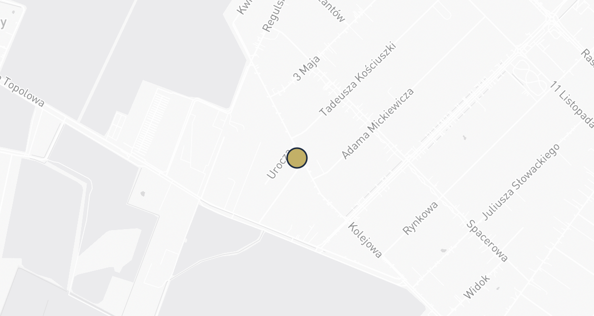 Mapa dojazdu: Boruszkowska Jolanta, lek. wet. Gabinet weterynaryjny