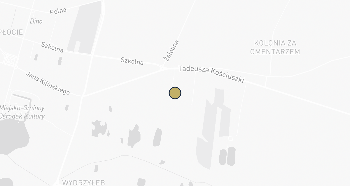 Mapa dojazdu: Weterynarz Przedecz