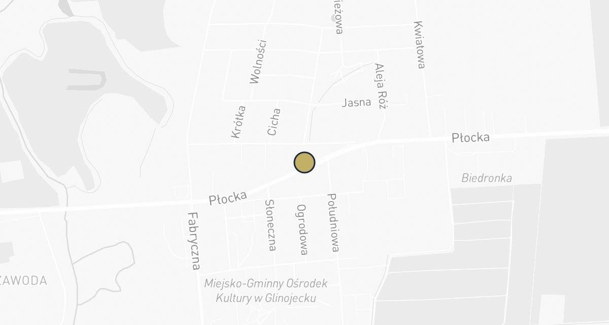 Mapa dojazdu: Ryszard Jędrzejczyk Usługi Weterynaryjne