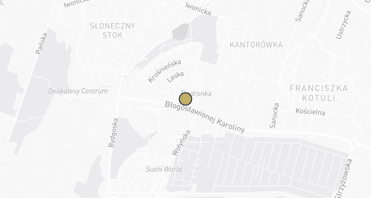 Mapa dojazdu: Gabinet Weterynaryjny ZWIERZAK