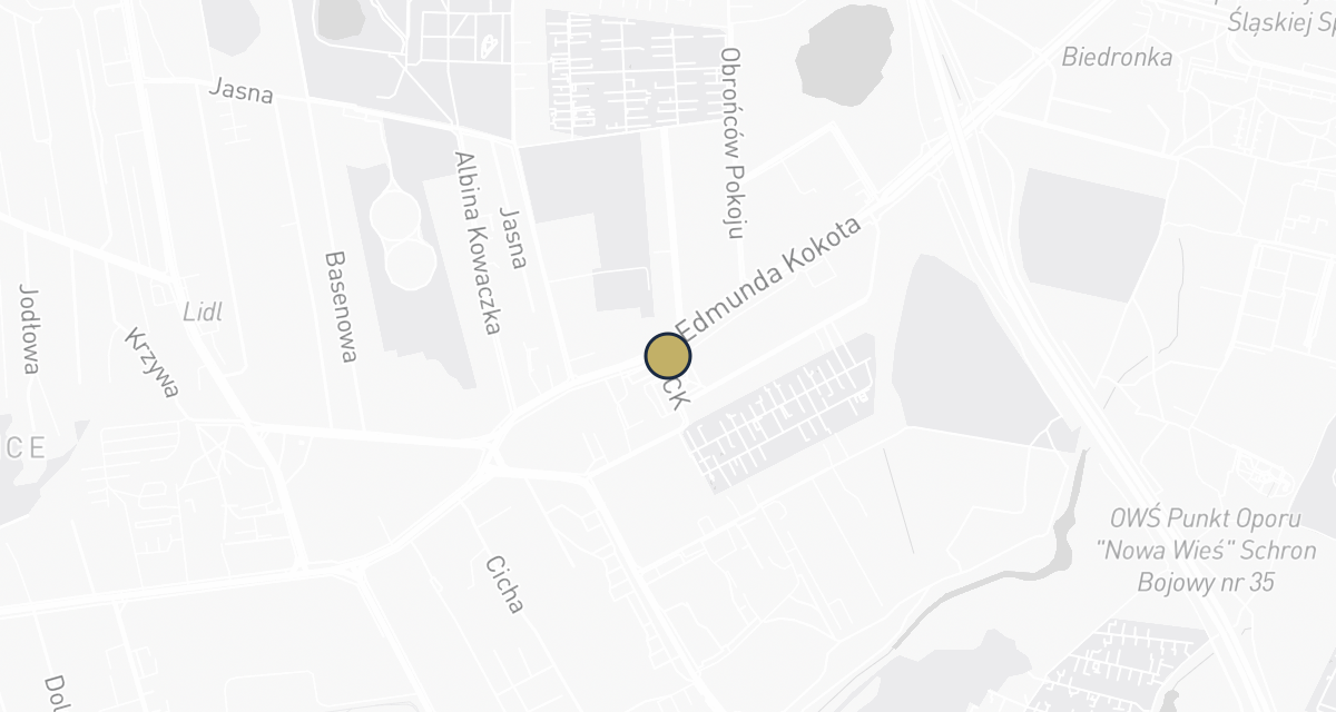 Mapa dojazdu: Rudvet. Gabinet weterynaryjny, pomoc weterynaryjna. Pisarczyk-Gruszka L.