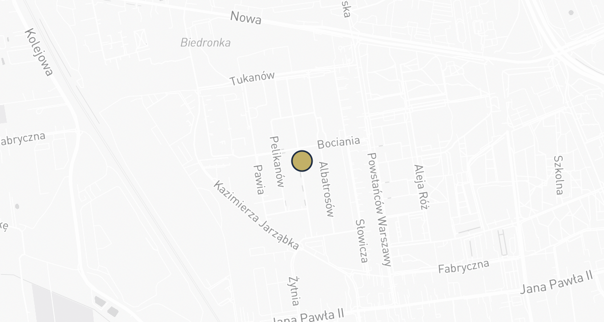 Mapa dojazdu: KruVet Przychodnia Weterynaryjna - Weterynarz Piaseczno