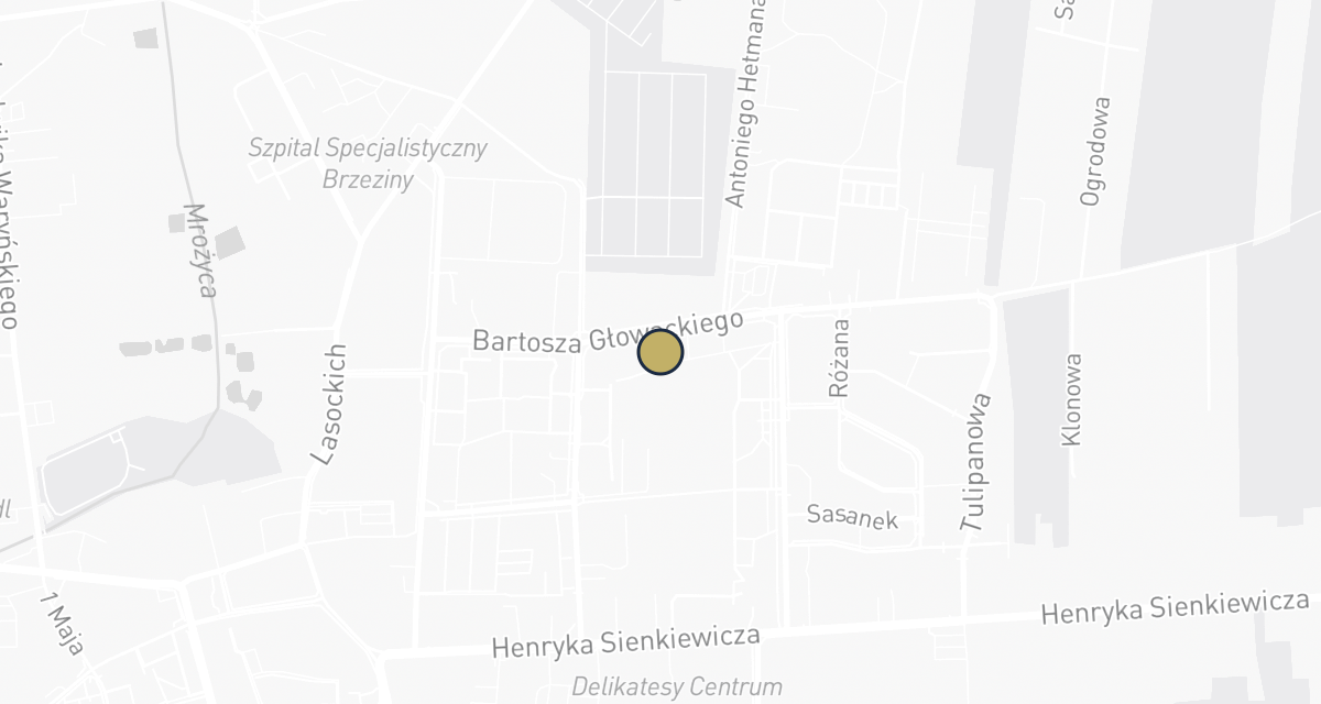 Mapa dojazdu: Gabinet weterynaryjny MISIAKVET Justyna Misiak