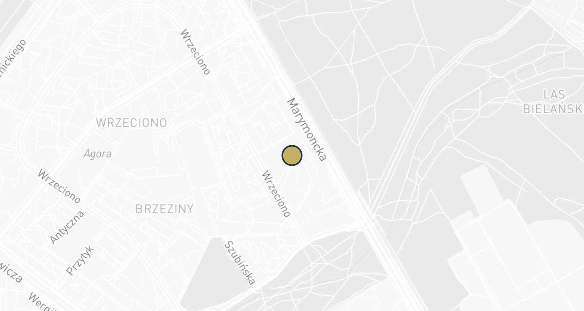 Mapa dojazdu: Aktivet Gabinet Weterynaryjny