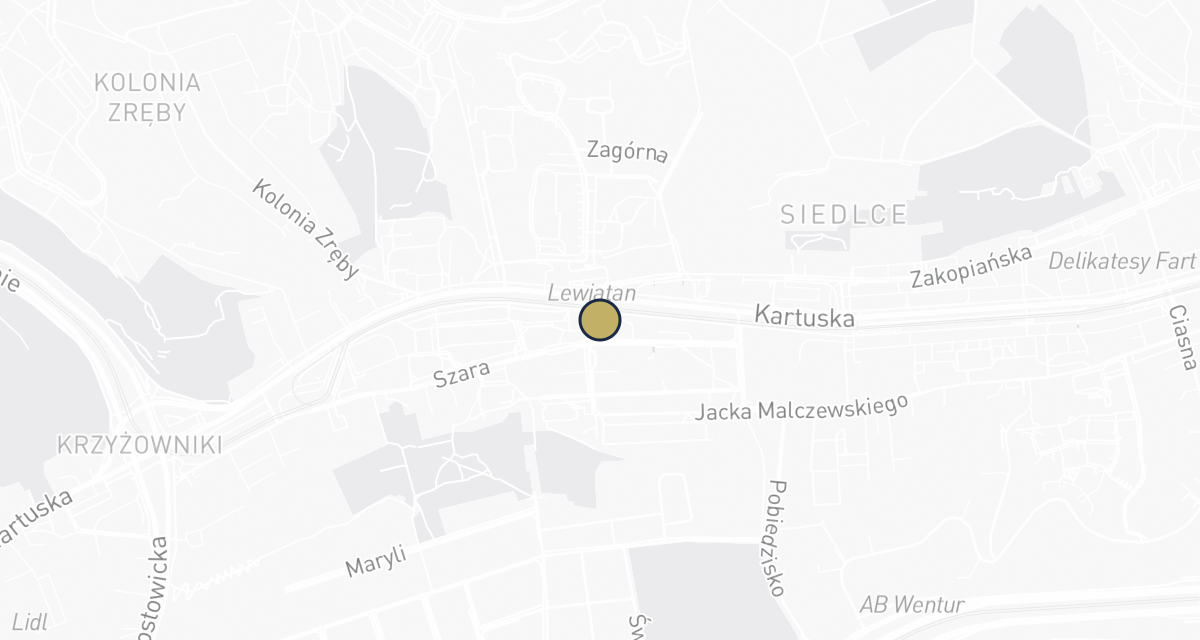 Mapa dojazdu: Gabinet weterynaryjny USGVET lek. wet. Wyszyński Marek. USG zwierząt