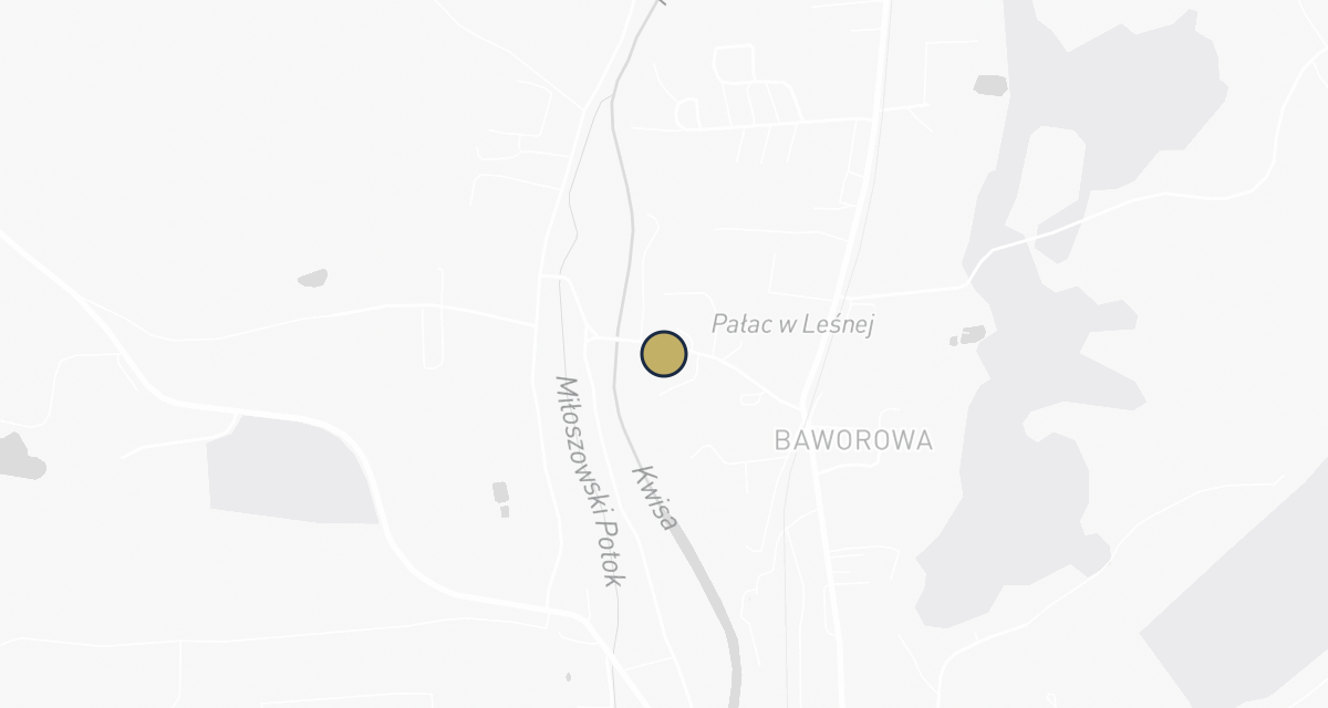 Mapa dojazdu: Weterynarz Leśna - Lecznica Weterynaryjna
