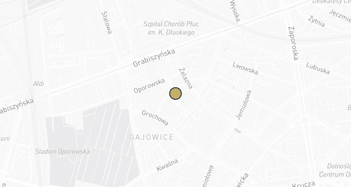 Mapa dojazdu: Gabinet Weterynaryjny Multivet Ołowiana 11 Wrocław