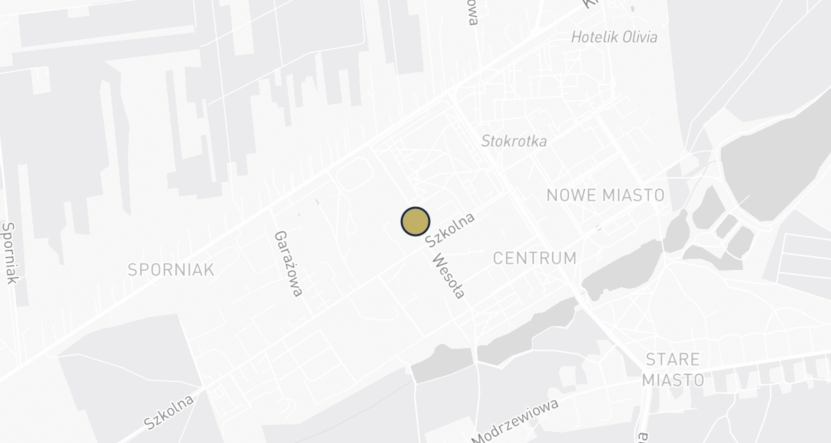 Mapa dojazdu: Usługi lekarsko - weterynaryjne