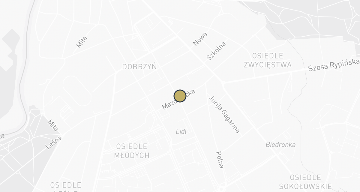 Mapa dojazdu: Gabinet Weterynaryjny Dawid Bielecki