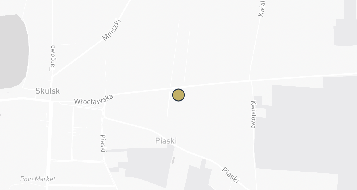 Mapa dojazdu: Gabinet dla Zwierząt w Skulsku