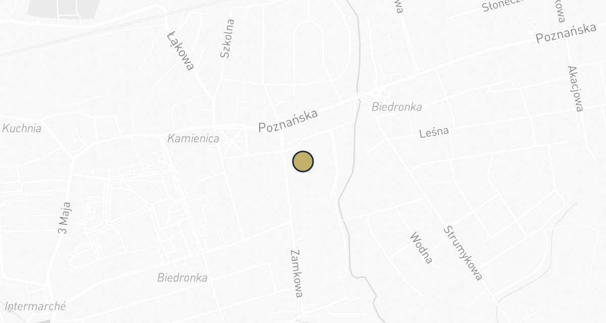 Mapa dojazdu: Febris Przychodnia dla Zwierząt 24h (pilne przypadki)