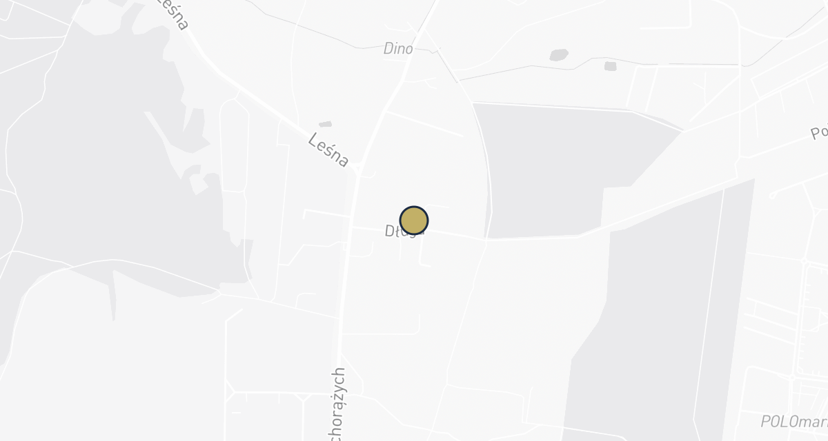 Mapa dojazdu: Gabinet Weterynaryjny Duże i Małe