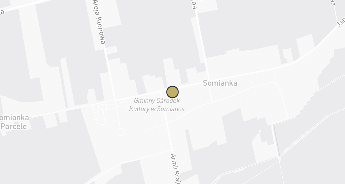 Mapa dojazdu: Gabinet weterynaryjny Mateusz Choiński