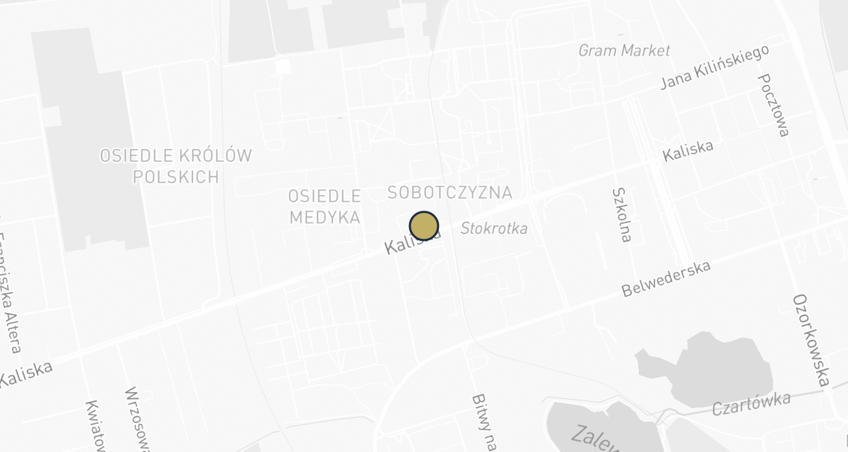 Mapa dojazdu: Weterynarz Łęczyca