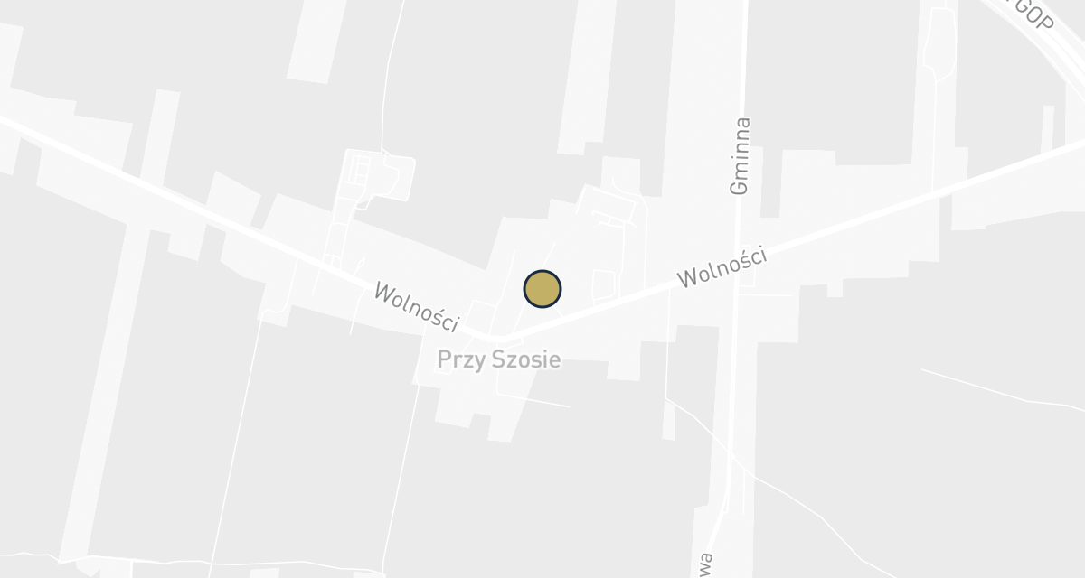 Mapa dojazdu: Medi-Vet