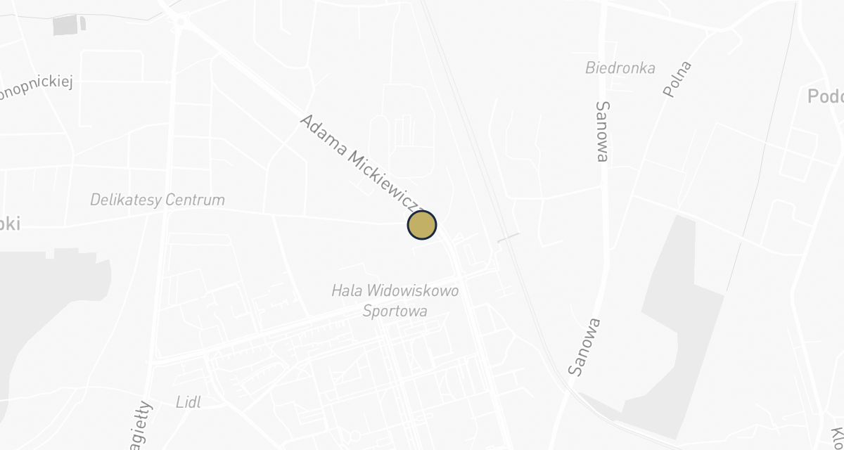 Mapa dojazdu: Gabinet Weterynaryjny "BORSUK"