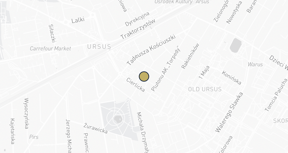 Mapa dojazdu: Dla Psa i Kota - Przychodnia Weterynaryjna.