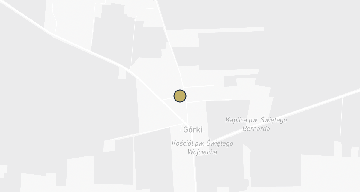 Mapa dojazdu: Bojdo Dorota. Usługi weterynaryjne