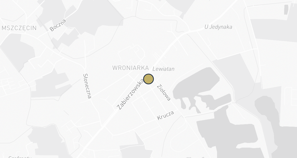 Mapa dojazdu: Centrum Weterynaryjne im. św. Franciszka