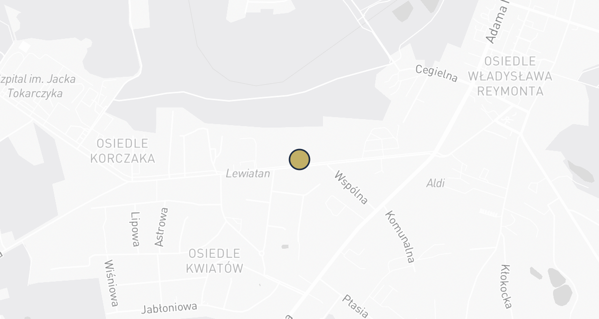 Mapa dojazdu: Przychodnia dla Zwierząt w Lipnie Łańcucki, Urbański, Szymczewski