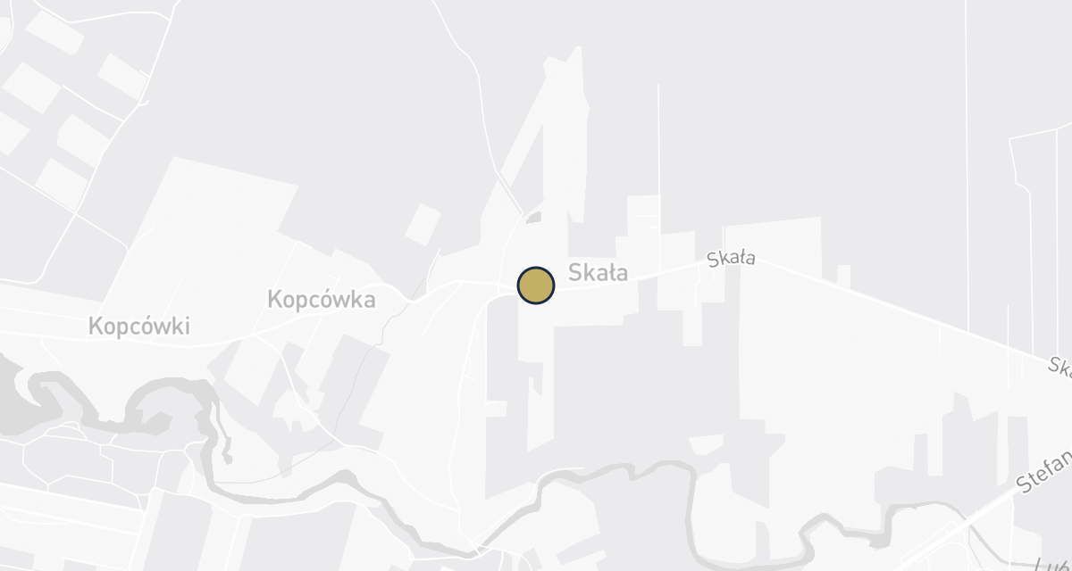 Mapa dojazdu: Bednarz E. Gabinet weterynaryjny