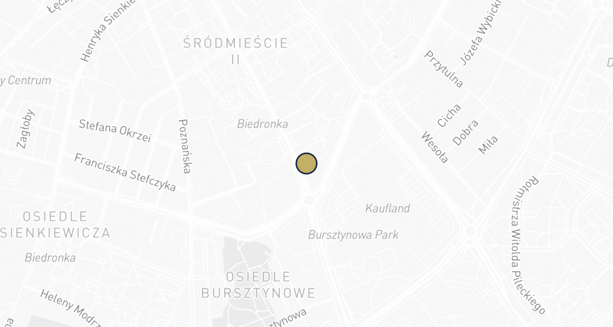 Mapa dojazdu: Medivet S.A.