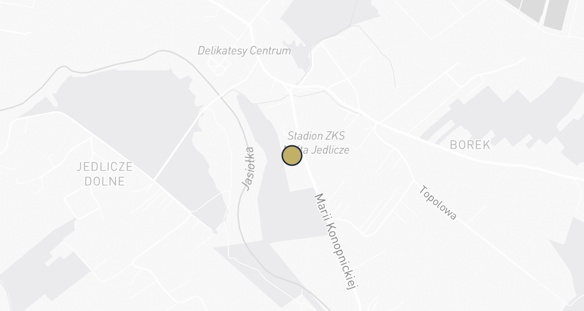 Mapa dojazdu: Lecznica Jan Ryk