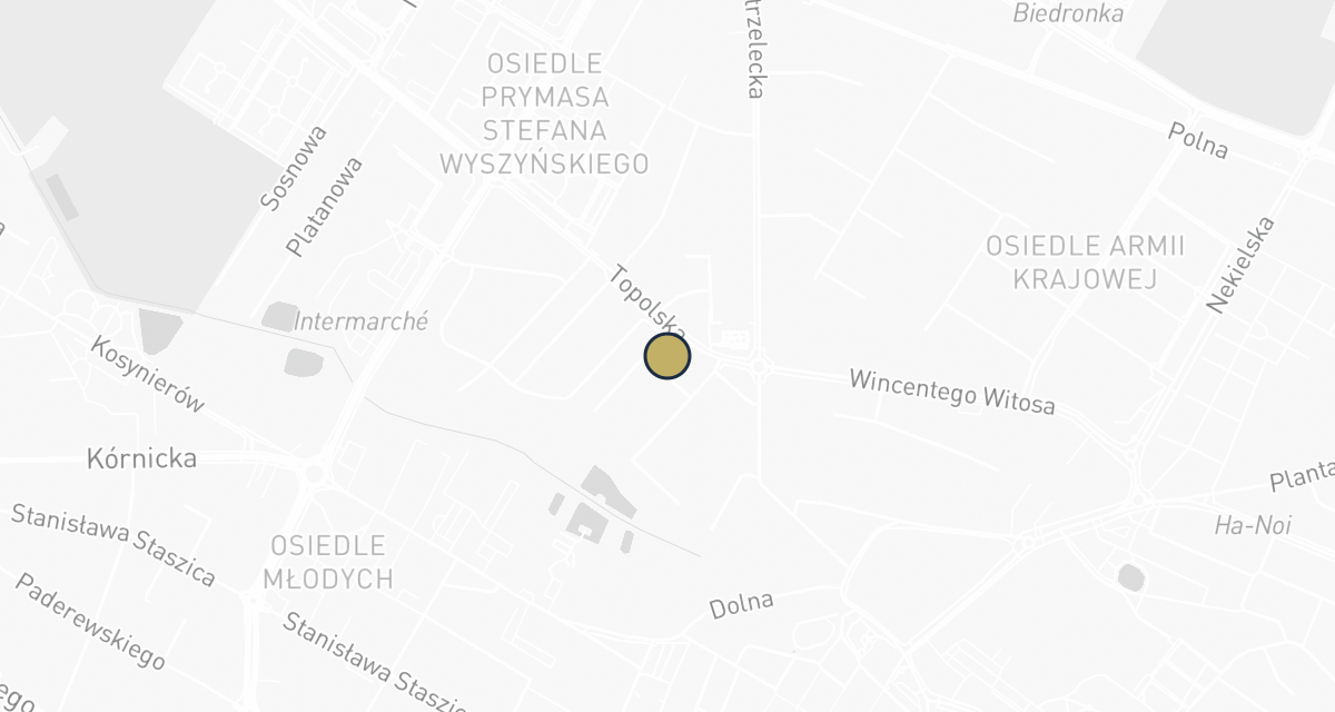 Mapa dojazdu: Vetmedicus Gabinet Weterynaryjny M.Powroźnik-Działak, K.Łazuka s.c.