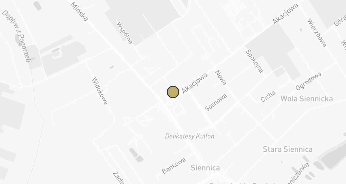 Mapa dojazdu: Gabinet Weterynaryjny BORDER VET Agnieszka Żmudzka