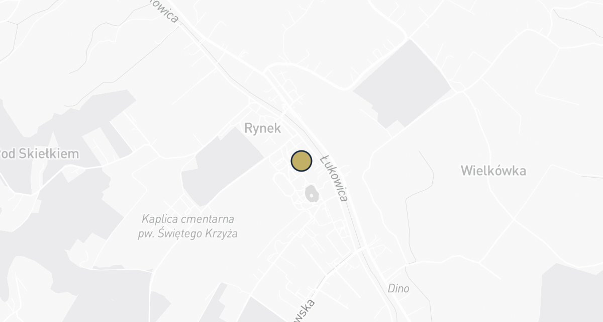 Mapa dojazdu: Król Antoni. Lecznica dla zwierząt