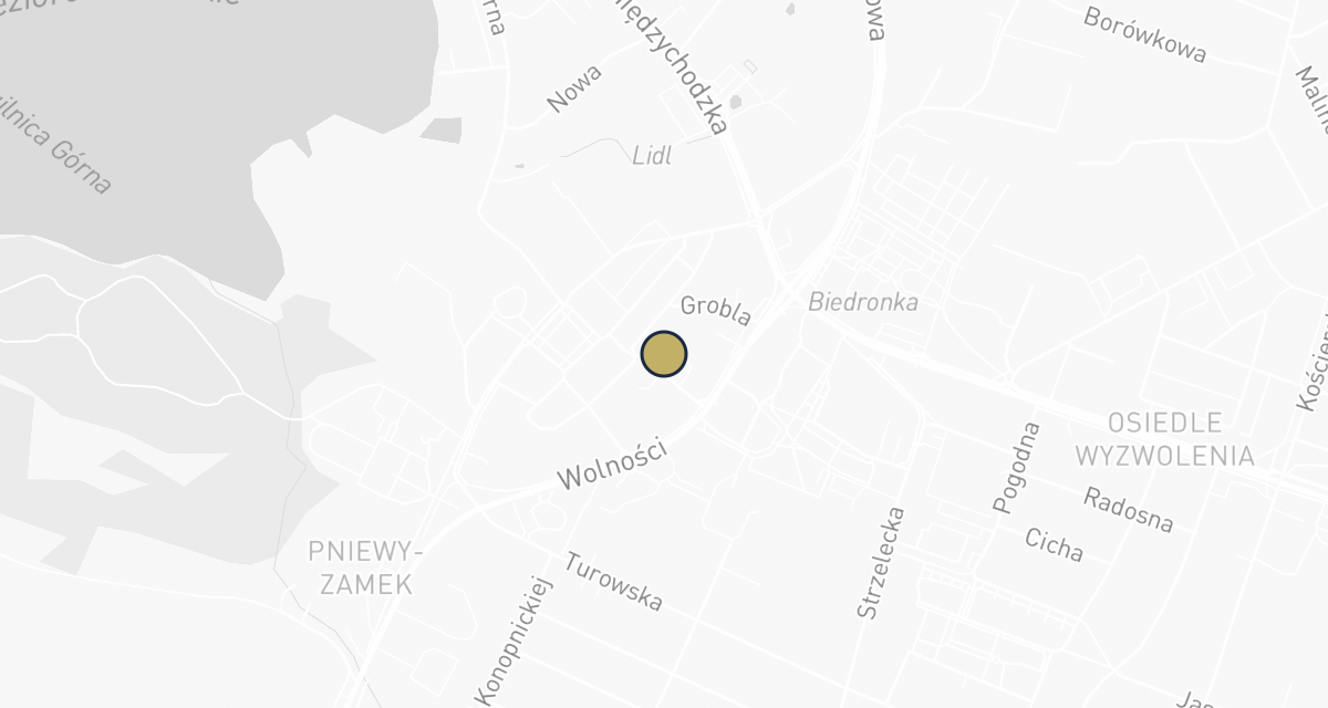 Mapa dojazdu: Gabinet Weterynaryjny Vital-Vet lek. wet. Artur Maślak