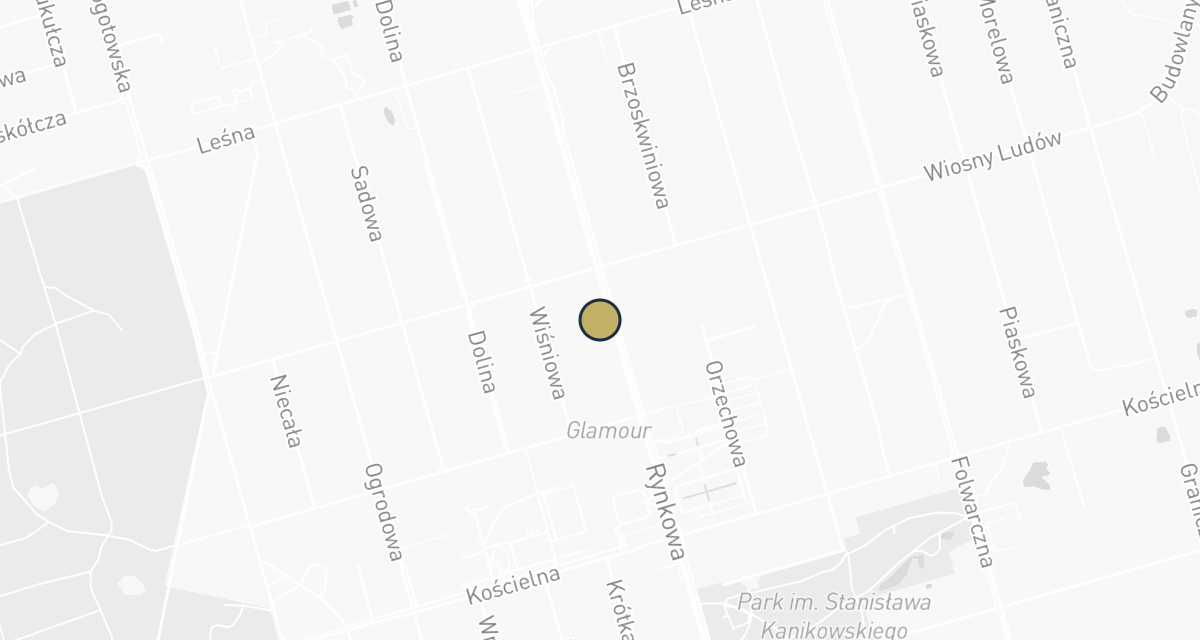 Mapa dojazdu: Dr Edyta - Weterynarz