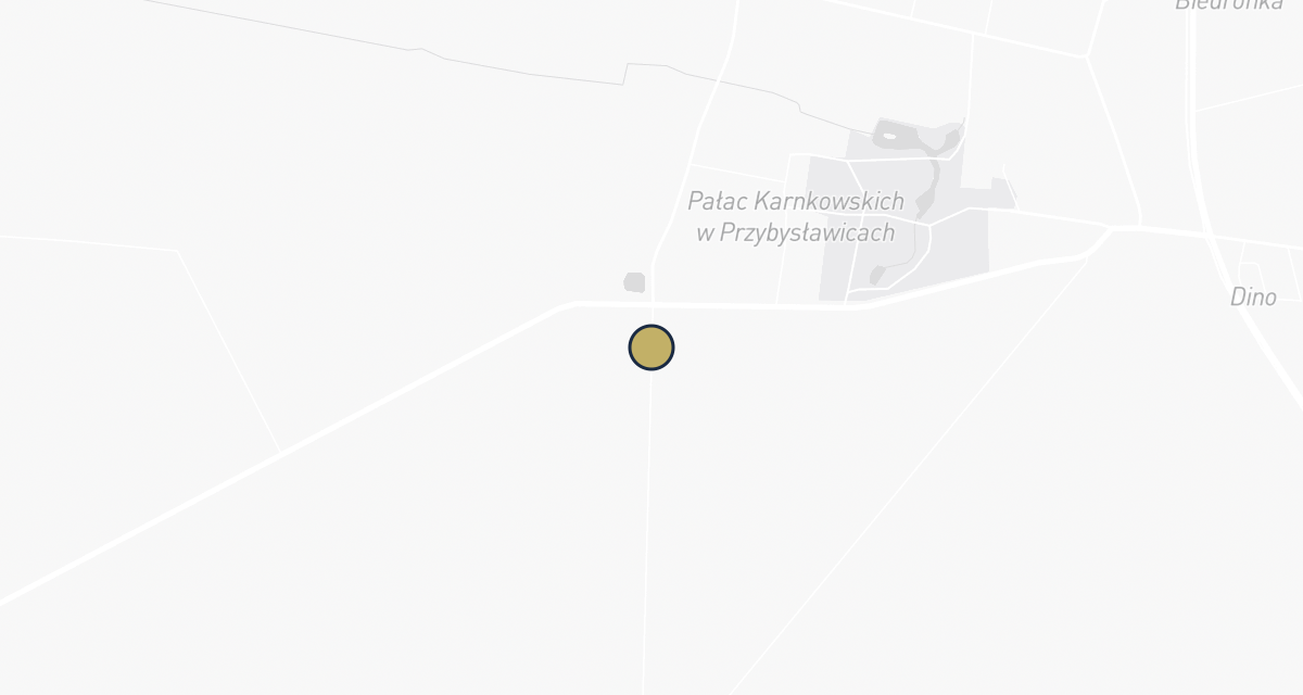 Mapa dojazdu: Gabinet Weterynaryjny Bartosz Konieczny Przybysławice