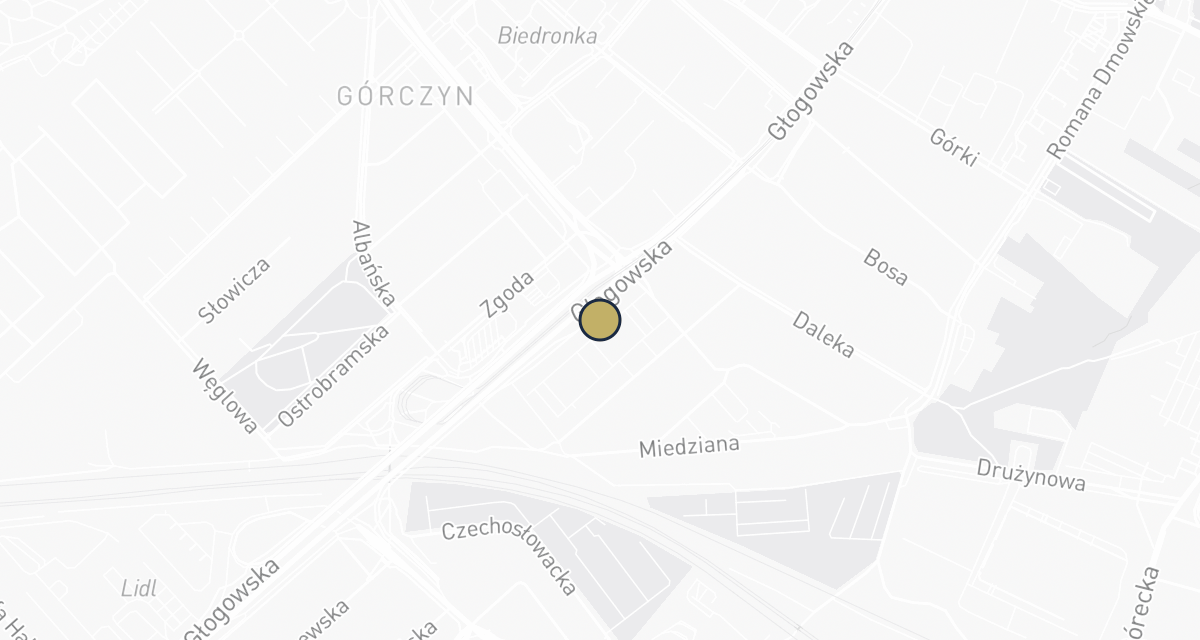 Mapa dojazdu: Zieliński Waldemar. Weterynaria