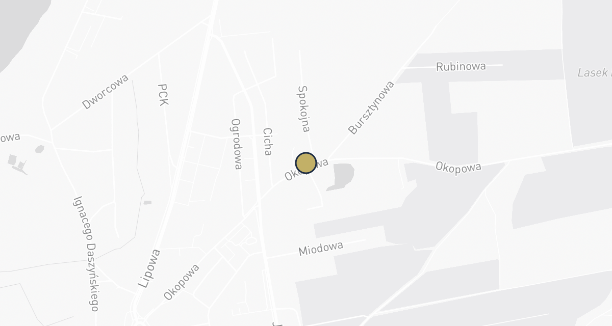 Mapa dojazdu: Gabinet Weterynaryjny Elżbieta Cychowska