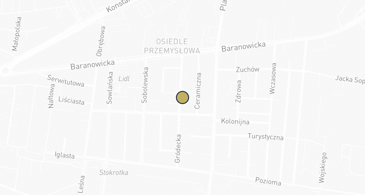 Mapa dojazdu: Przychodnia Weterynaryjna Zdrowet Sp. z o.o