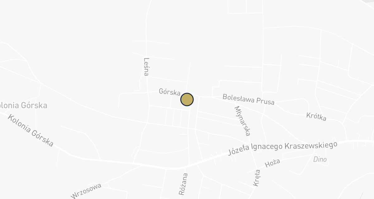 Mapa dojazdu: Gabinet Weterynaryjny PatiVet & Grooming Studio Psi Fryzjer Kożuchów