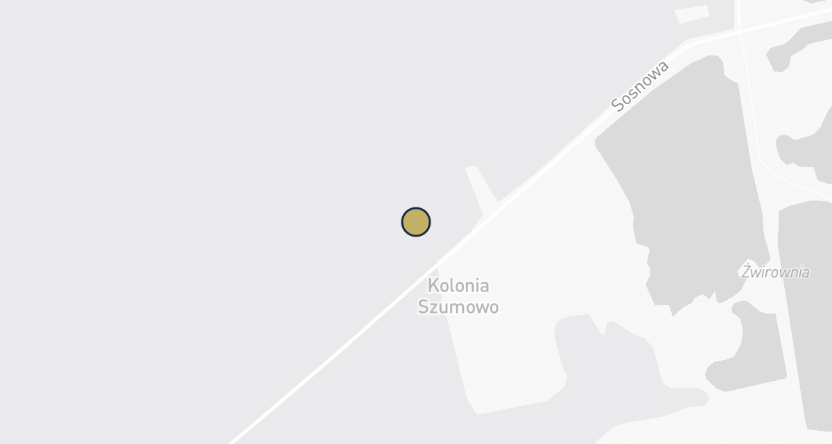 Mapa dojazdu: Animals Usługi Weterynaryjne