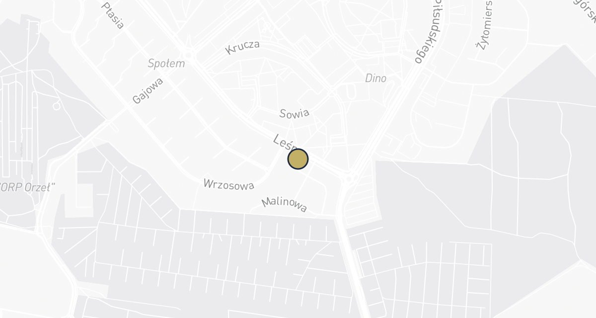 Mapa dojazdu: Przychodnia weterynaryjna, lek. wet. Rosolski Robert