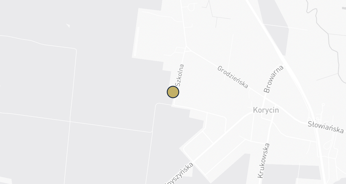 Mapa dojazdu: Usługi Weterynaryjne