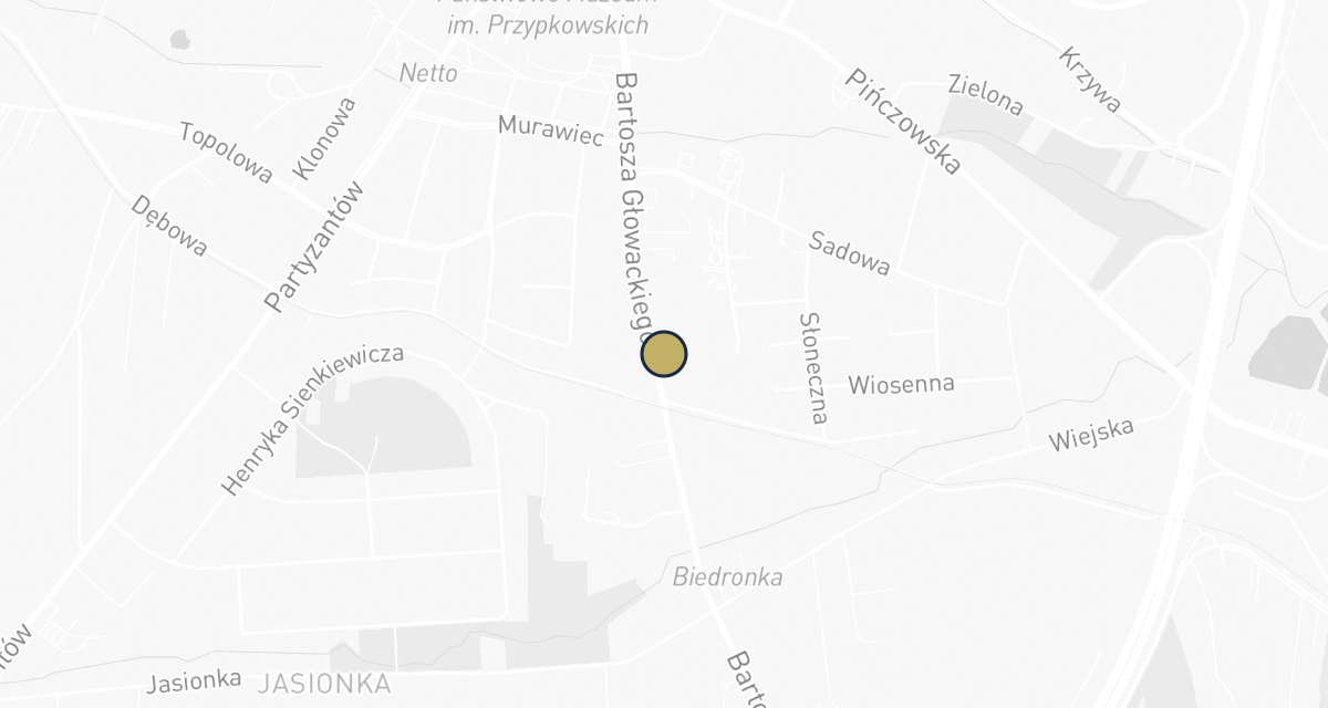 Mapa dojazdu: Grójec Jerzy. Lecznica dla zwierząt