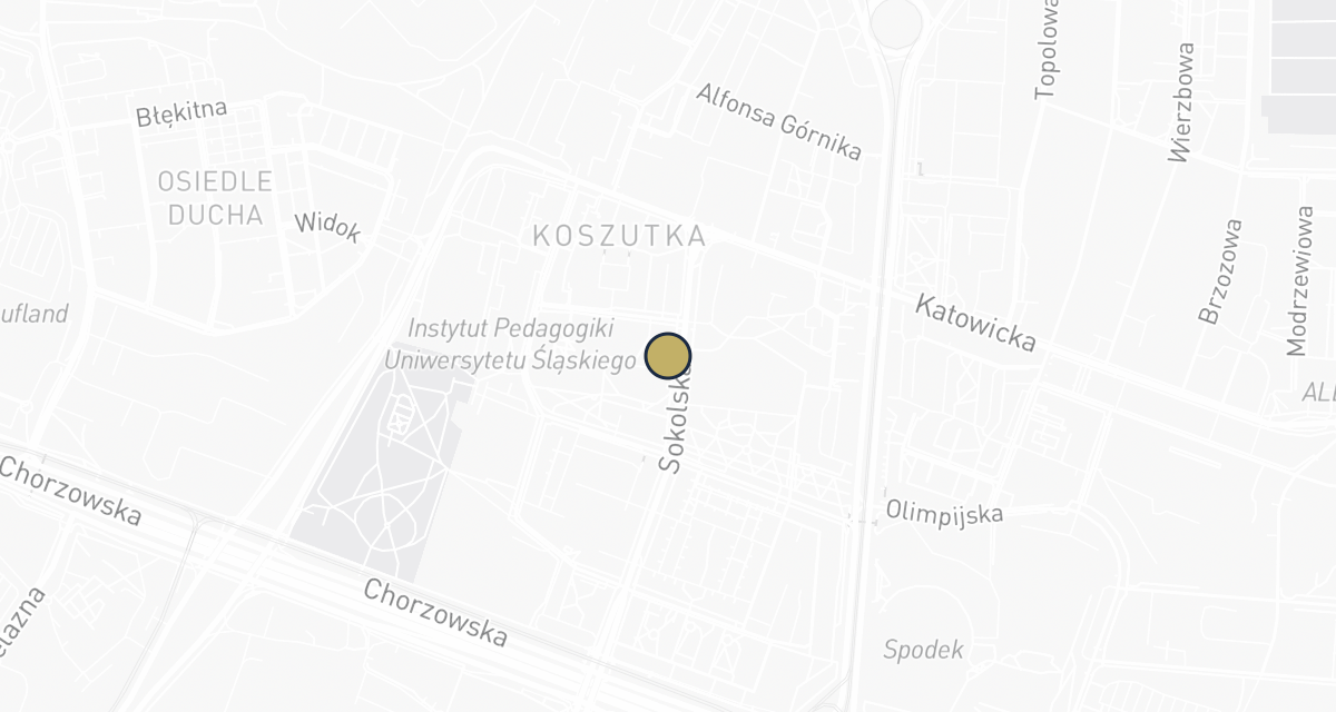 Mapa dojazdu: Gabinet Weterynaryjny "Vivet"